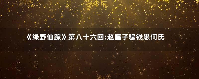 《绿野仙踪》第八十六回:赵瞎子骗钱愚何氏 齐蕙娘杯酒杀同人